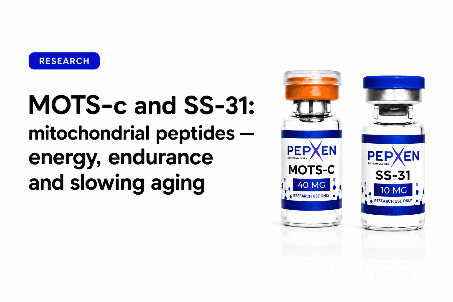 MOTS-c and SS-31: mitochondrial peptides — energy, endurance, and slowing aging